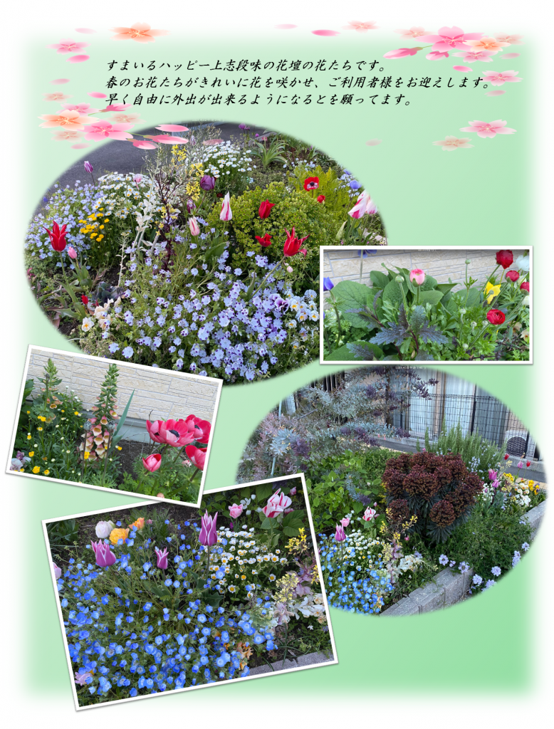 すまいる：春の花壇
