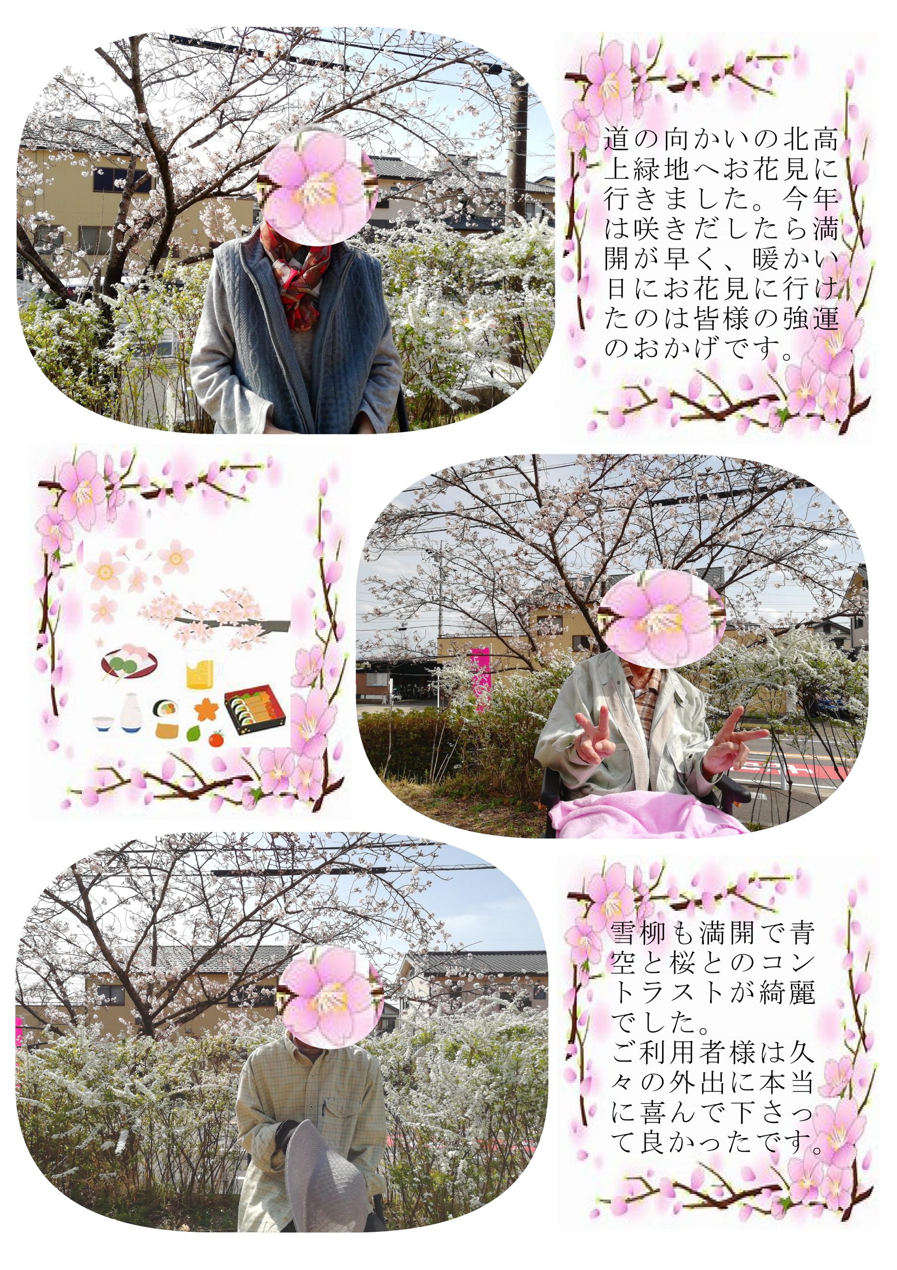 桜満開うららかなお花見　日進